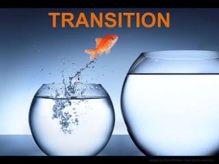TRANSITION 
photo by iStockPhoto – tout droits réservés 
 
