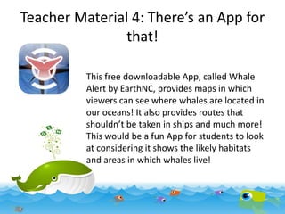 Teacher Material 4: There’s an App for
that!
This free downloadable App, called Whale
Alert by EarthNC, provides maps in which
viewers can see where whales are located in
our oceans! It also provides routes that
shouldn’t be taken in ships and much more!
This would be a fun App for students to look
at considering it shows the likely habitats
and areas in which whales live!

 