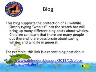 Blog
This blog supports the protection of all wildlife.
Simply typing “whales” into the search bar will
bring up many different blog posts about whales.
Children can learn that there are many people
out there who are passionate about saving
whales and wildlife in general.

For example, this link is a recent blog post about
whales:
http://www.defendersblog.org/2013/12/placesun-right-whales/

 