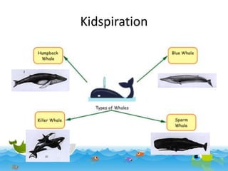 Kidspiration

 
