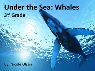 Under the Sea: Whales
rd
3

Grade

By: Nicole Olsen

 