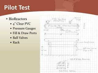 Pilot Test
 BioReactors
 4” Clear PVC
 Pressure Gauges
 Fill & Draw Ports
 Ball Valves
 Rack
 