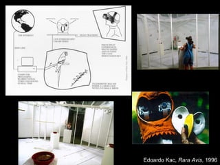 Edoardo Kac, Rara Avis, 1996
 