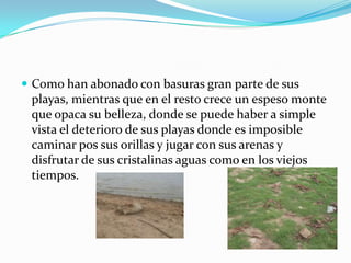 Como han abonado con basuras gran parte de sus playas, mientras que en el resto crece un espeso monte que opaca su belleza, donde se puede haber a simple vista el deterioro de sus playas donde es imposible caminar pos sus orillas y jugar con sus arenas y disfrutar de sus cristalinas aguas como en los viejos tiempos. 