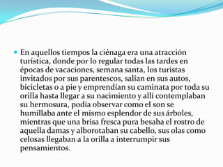 En aquellos tiempos la ciénaga era una atracción turística, donde por lo regular todas las tardes en épocas de vacaciones, semana santa, los turistas invitados por sus parentescos, salían en sus autos, bicicletas o a pie y emprendían su caminata por toda su orilla hasta llegar a su nacimiento y allí contemplaban su hermosura, podía observar como el son se humillaba ante el mismo esplendor de sus árboles, mientras que una brisa fresca pura besaba el rostro de aquella damas y alborotaban su cabello, sus olas como celosas llegaban a la orilla a interrumpir sus pensamientos. 