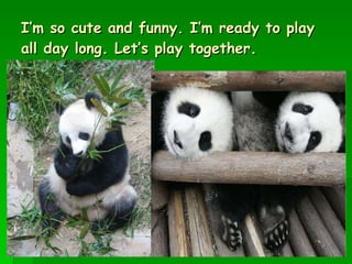 Olympic Games Beijing 08