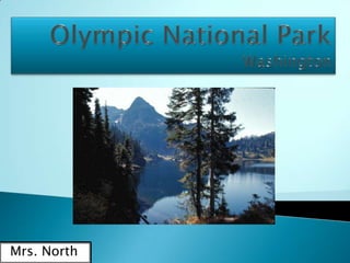 Olympic National ParkWashington Mrs. North 