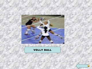 VOLLY BALL 