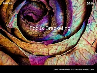 Focus Bracketing
Camera: OM-D E-M1 (4.0 beta) Obj.: M.ZUIKO DIGITAL ED 60mm f2.8 Macro
 