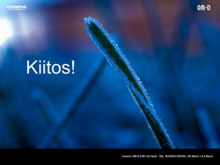 Kiitos!
Kamera: OM-D E-M1 (4.0 beta) Obj.: M.ZUIKO DIGITAL ED 60mm 1:2.8 Macro
 