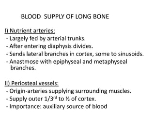 BLOOD SUPPLY OF LONG BONE
I) Nutrient arteries:
- Largely fed by arterial trunks.
- After entering diaphysis divides.
- Sends lateral branches in cortex, some to sinusoids.
- Anastmose with epiphyseal and metaphyseal
branches.
II) Periosteal vessels:
- Origin-arteries supplying surrounding muscles.
- Supply outer 1/3rd to ½ of cortex.
- Importance: auxiliary source of blood
 