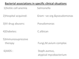 Bacterial associations in specific clinical situations
1)Sickle cell anemia Salmonella
2)Hospital acquired: Gram –ve org.&pseudomonas
3)IV drug abusers: Pseudomonas
4)Diabetes: C.albican
5)Immunosupressive
therapy Fungi,M.avium complex
6)AIDS : Staph.aureus,
atypical mycobacterium
 