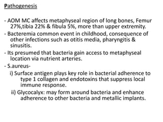 Pathogenesis
- AOM MC affects metaphyseal region of long bones, Femur
27%,tibia 22% & fibula 5%, more than upper extremity.
- Bacteremia common event in childhood, consequence of
other infections such as otitis media, pharyngitis &
sinusitis.
- Its presumed that bacteria gain access to metaphyseal
location via nutrient arteries.
- S.aureus-
i) Surface antigen plays key role in bacterial adherence to
type 1 collagen and endotoxins that suppress local
immune response.
ii) Glycocalyx: may form around bacteria and enhance
adherence to other bacteria and metallic implants.
 
