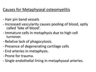 Causes for Metaphyseal osteomyelitis
- Hair pin bend vessels
- Increased vascularity causes pooling of blood, aptly
called ‘lake of blood’.
- Immature cells in metaphysis due to high cell
turnover.
- Relative lack of phagocytosis.
- Presence of degenerating cartilage cells
- End arteries in metaphysis.
- Prone for trauma.
- Single endothelial lining in metaphyseal arteries.
 