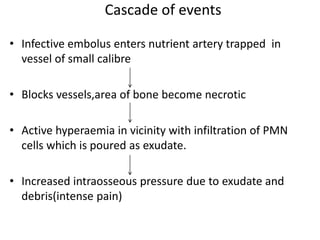 Cascade of events
• Infective embolus enters nutrient artery trapped in
vessel of small calibre
• Blocks vessels,area of bone become necrotic
• Active hyperaemia in vicinity with infiltration of PMN
cells which is poured as exudate.
• Increased intraosseous pressure due to exudate and
debris(intense pain)
 