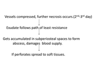 Vessels compressed, further necrosis occurs.(2nd-3rd day)
Exudate follows path of least resistance
Gets accumulated in subperiosteal spaces to form
abscess, damages blood supply.
If perforates spread to soft tissues.
 