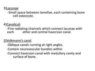 3)Lacunae
-Small space between lamellae, each containing bone
cell osteocyte.
4)Canaliculi
-Fine radiating channels which connect lacunae with
each other and central haversian canal.
5)Volkmann’s canal
-Oblique canals running at right angles.
-Contain neurovascular bundles within
-Connect haversian canal with medullary cavity and
surface of bone.
 