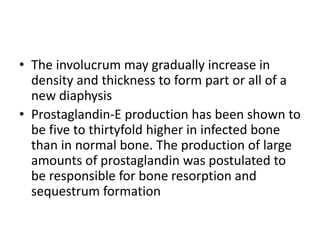 • The involucrum may gradually increase in
density and thickness to form part or all of a
new diaphysis
• Prostaglandin-E production has been shown to
be five to thirtyfold higher in infected bone
than in normal bone. The production of large
amounts of prostaglandin was postulated to
be responsible for bone resorption and
sequestrum formation
 