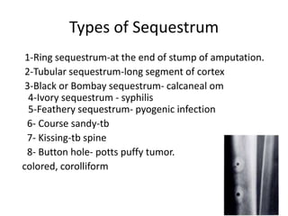Types of Sequestrum
1-Ring sequestrum-at the end of stump of amputation.
2-Tubular sequestrum-long segment of cortex
3-Black or Bombay sequestrum- calcaneal om
4-Ivory sequestrum - syphilis
5-Feathery sequestrum- pyogenic infection
6- Course sandy-tb
7- Kissing-tb spine
8- Button hole- potts puffy tumor.
colored, corolliform
 