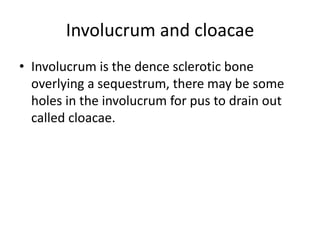 Involucrum and cloacae
• Involucrum is the dence sclerotic bone
overlying a sequestrum, there may be some
holes in the involucrum for pus to drain out
called cloacae.
 