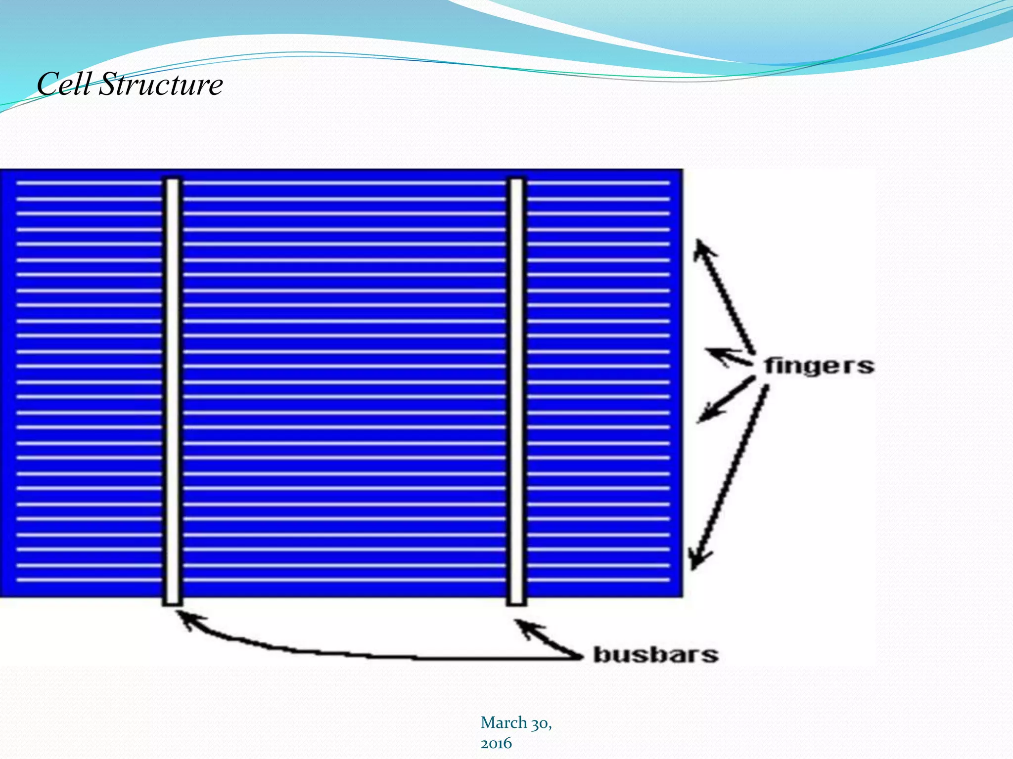 Cell Structure
March 30,
2016
 