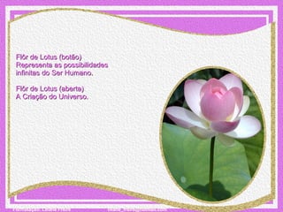 Flôr de Lotus (botão) Representa as possibilidades  infinitas do Ser Humano.   Flôr de Lotus (aberta) A Criação do Universo. 