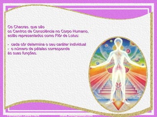 Os Chacras. que são  os Centros de Consciência no Corpo Humano,  estão representados como Flôr de Lotus:   -  cada côr determina o seu caráter individual  -  o número de pétalas corresponde  às suas funções. 