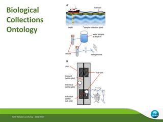 Biological
Collections
Ontology
IGSN Metadata workshop - 2015-09-03
 
