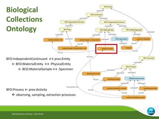 Biological
Collections
Ontology
IGSN Metadata workshop - 2015-09-03
BFO:IndependentContinuant ↔ prov:Entity
← BFO:MaterialEntity ↔ :PhysicalEntity
← BCO:MaterialSample ↔ :Specimen
BFO:Process ← prov:Activity
 observing, sampling, extraction processes
 