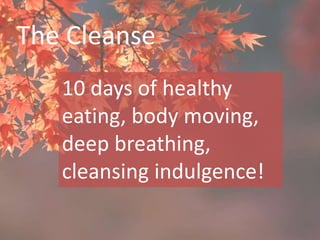 The Cleanse
10 days of healthy
eating, body moving,
deep breathing,
cleansing indulgence!
 