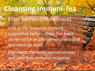Cleansing Immuni-Tea
Elder berries (Urtica dioca)
One of my favourite immune
supportive herbs – elder has been
shown to be an phenomenal antiviral
and immune tonic
It protects the body against viruses
and improves immune response
 