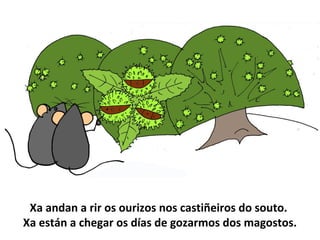 O magosto | PPT