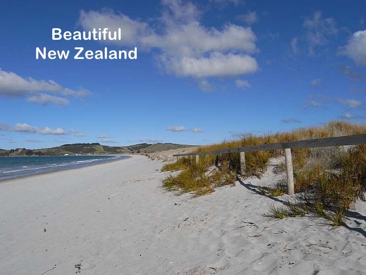 Omaha Beach New Zealand