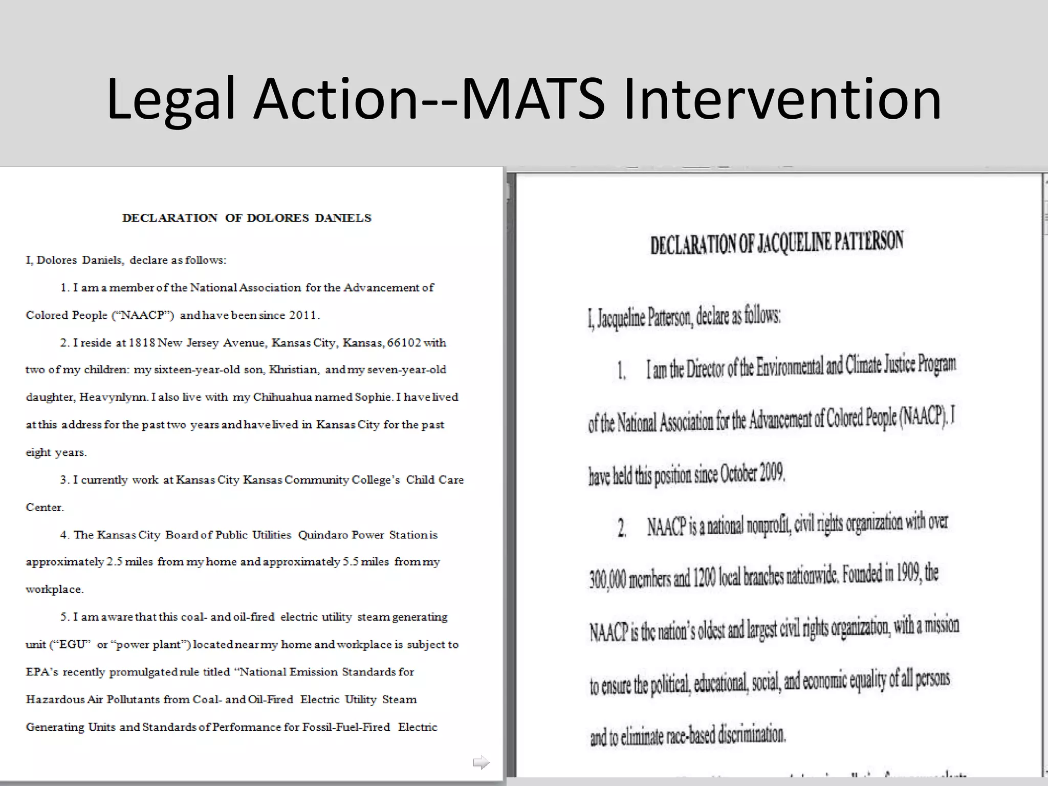 Legal Action--MATS Intervention
 