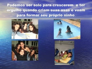 Podemos ser solo para crescerem  e ter orgulho quando criam suas asas e voam para formar seu próprio ninho . 