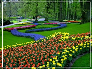 O maior jardm do mundo