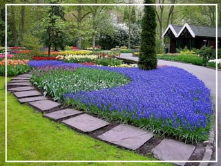 O maior jardm do mundo