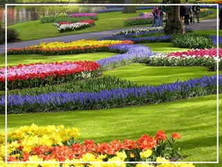 O maior jardm do mundo