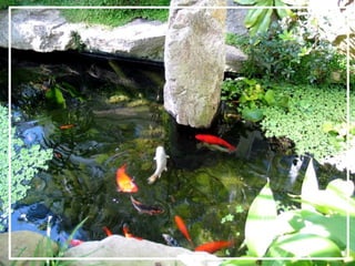 O maior jardm do mundo