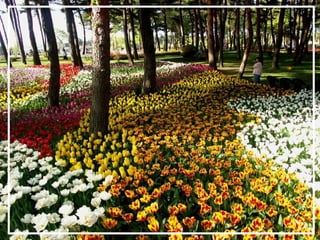 O maior jardm do mundo