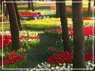 O maior jardm do mundo