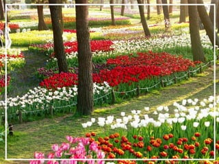 O maior jardm do mundo