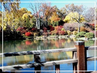 O maior jardm do mundo