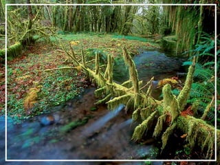 O maior jardm do mundo