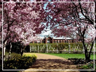 O maior jardm do mundo