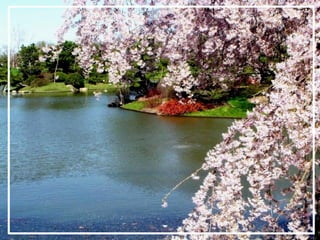 O maior jardm do mundo