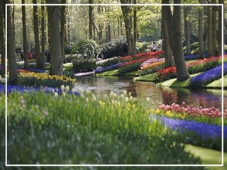 O maior jardm do mundo