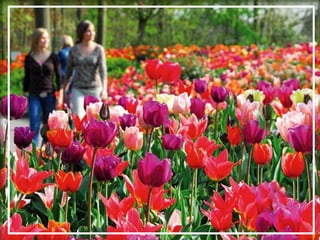 O maior jardm do mundo