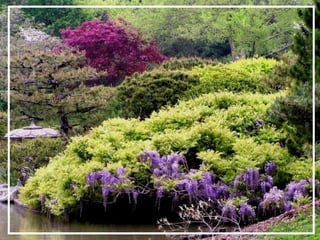 O maior jardm do mundo