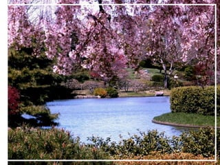 O maior jardm do mundo